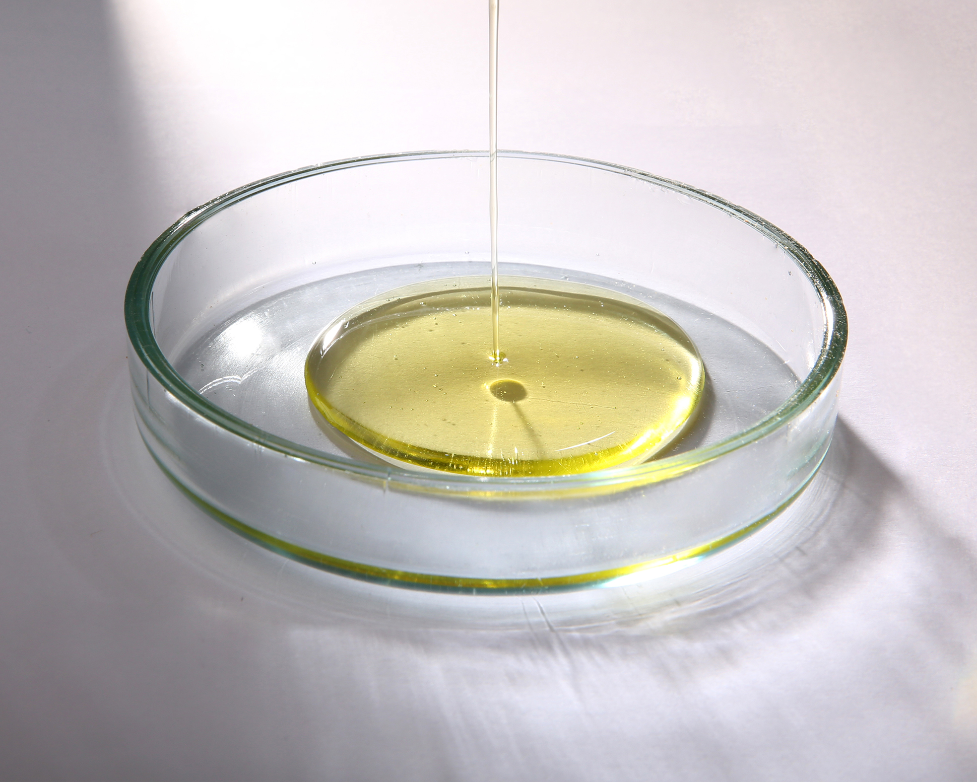Insect oil (IO)
